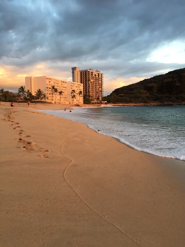 A beach with footprints leading to the water, palm trees, and a hotel in the background.