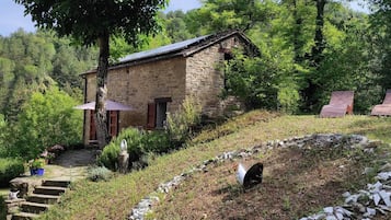Esterni