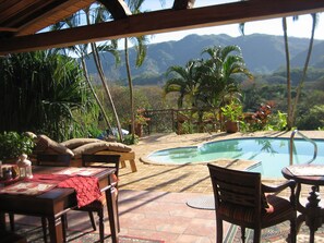 A pool area with a view of mountains, surrounded by palm trees and various plants.