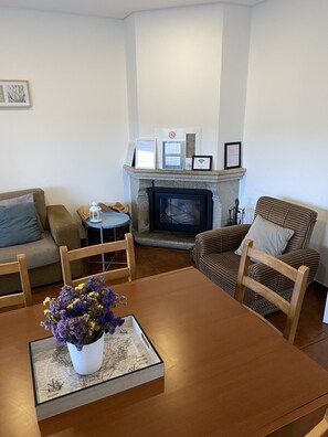 تلفزيون، مدفأة، مشغل دي في دي