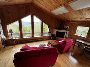 Télévision, cheminée, lecteur de DVD, livres