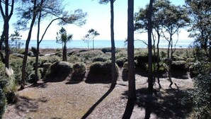 Unclassified image, 3 of 23, button - Dogwood 9 (Hilton Head Island)