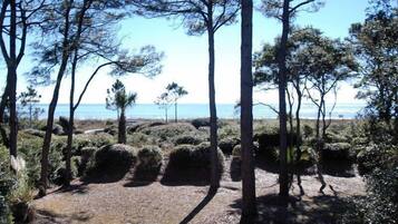 Beach/ocean view