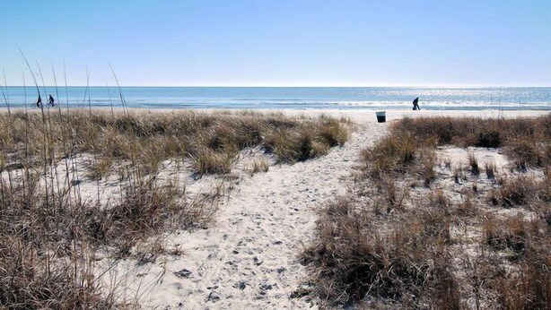 Unclassified image, 1 of 23, button - Dogwood 9 (Hilton Head Island)