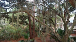 Unclassified image, 5 of 8, button - South Sea Pines 84 (Hilton Head Island)