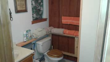 Dusche, Handtücher, Seife, Toilettenpapier