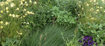 Sweetfields  Farm Is The Place You Want To Be!