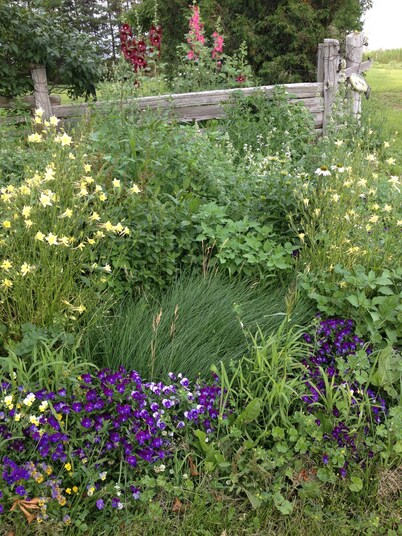 Sweetfields  Farm Is The Place You Want To Be!