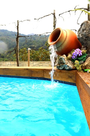 Pool - Luxury country house in rural Gêres (Terras de Bouro)
