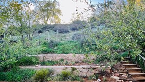 A garden with a brick pathway leading to a wooden staircase. - Garden Home: Private Home Downtown Durango (Durango)