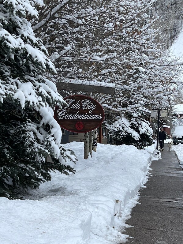 Property grounds - 3 bedroom, two baths, in-town location only 150 yards to the lifts (Telluride)