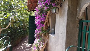 En smal stig, omgiven av frodig grönska och färgstarka bougainvilleablommor, leder fram till en rustik byggnad med en grön dörr och en liten hylla med en flaska på.