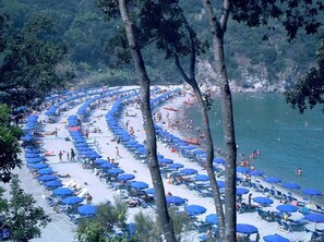 Nära stranden