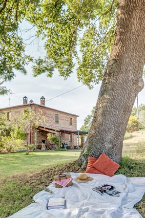 Property grounds - Farmhouse "Il Poggiarello" - La Bottega (Foiano della Chiana)