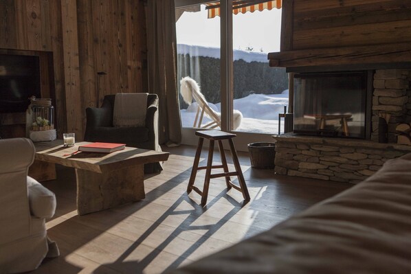 Smart TV, fireplace, books
