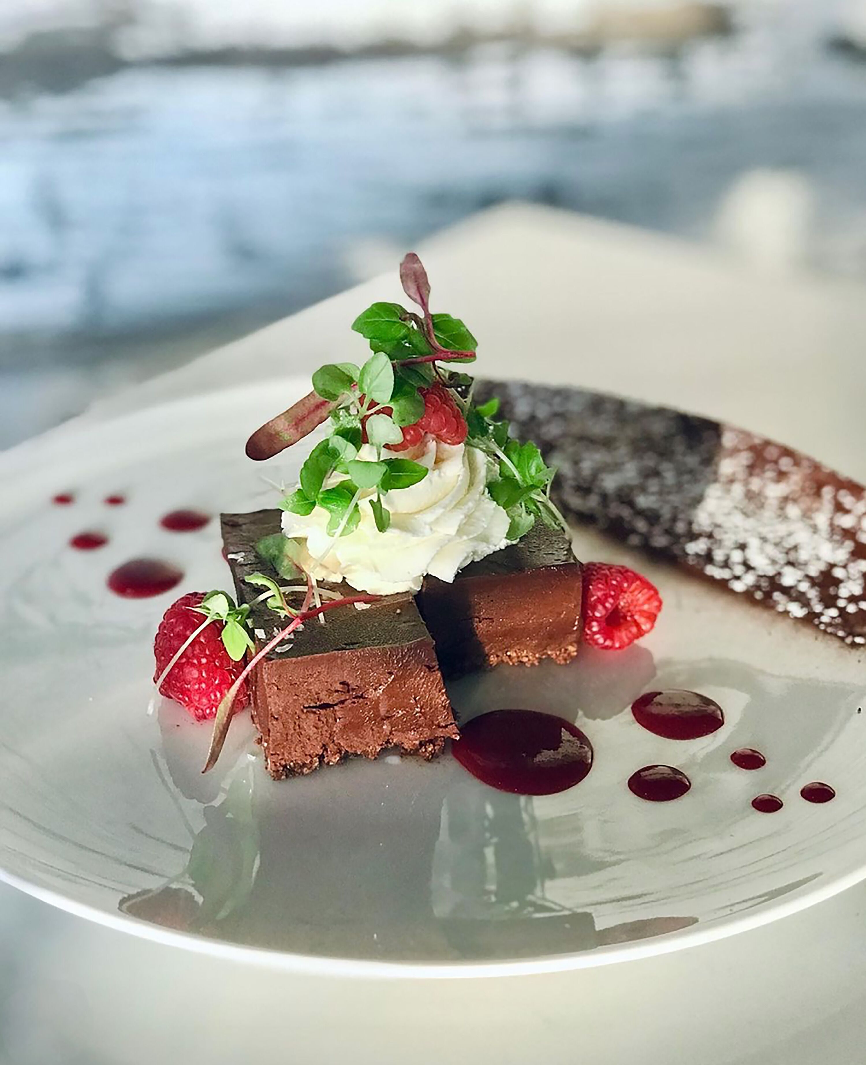 A dessert on a white plate with chocolate pieces, whipped cream, raspberries, and a decorative leaf.