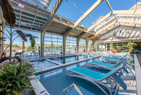 Una piscina techada. Hotel LBI