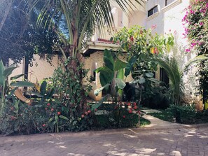 Exterior - La Buena Vida 2 Amazing (Tamarindo)