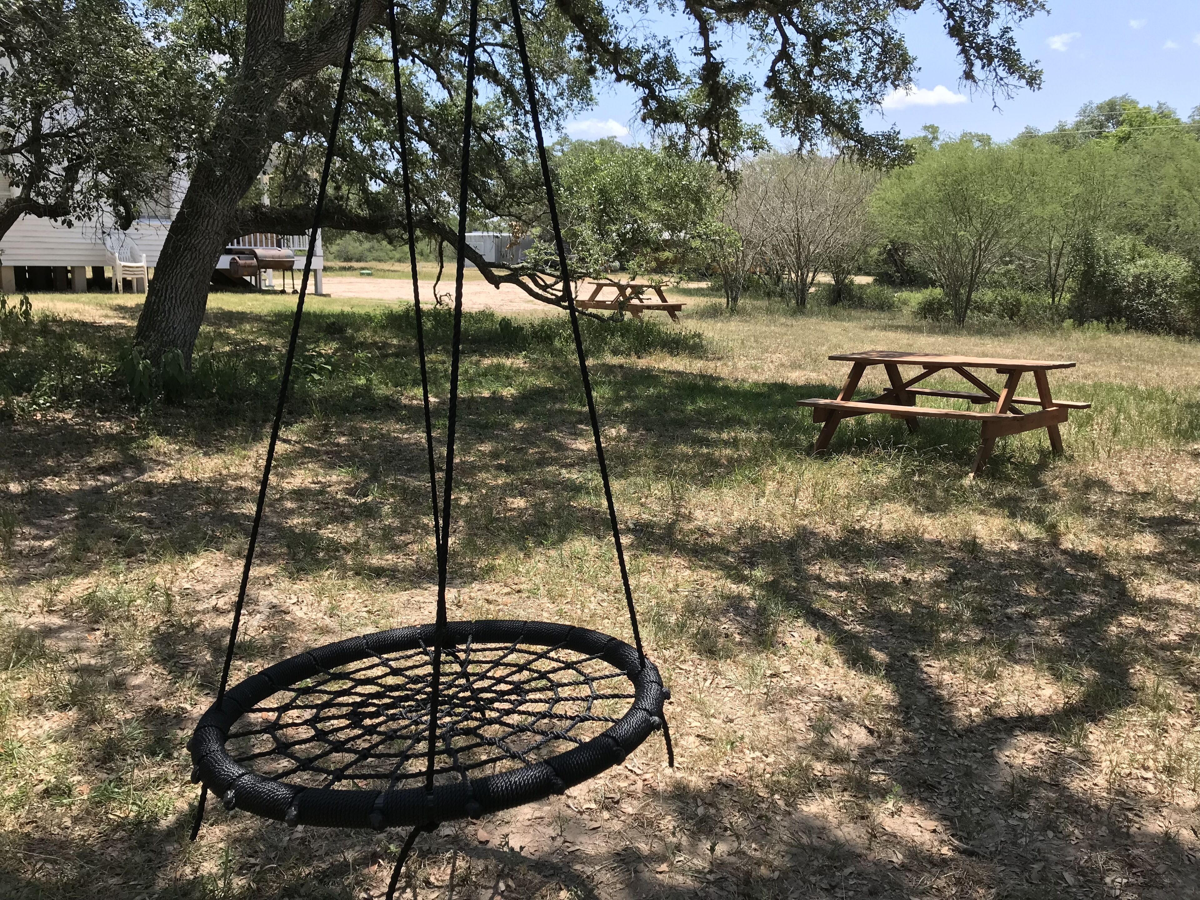 A swing hanging from a tree in a grassy area with picnic tables and a house in the background.