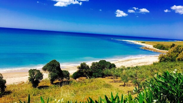 Paisaje costero con playa, árboles y cielo azul despejado.