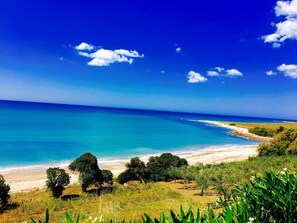 Un paysage côtier avec une plage, des arbres et un ciel bleu dégagé.