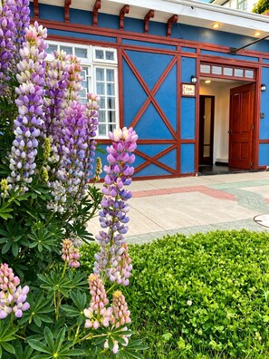 Un edificio con fachada azul y puerta roja, rodeado de abundante vegetación y flores moradas.
