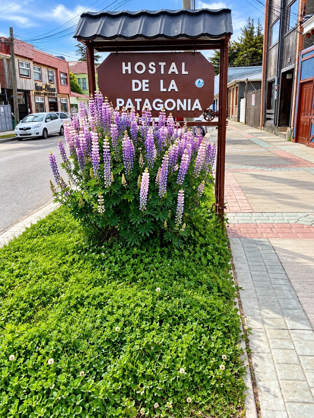 A sign for 'Hostal de la Patagonia' with a garden of purple flowers in front.