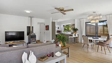 Smart TV, fireplace, books