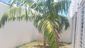 Garden - La Casa De David (Mérida)