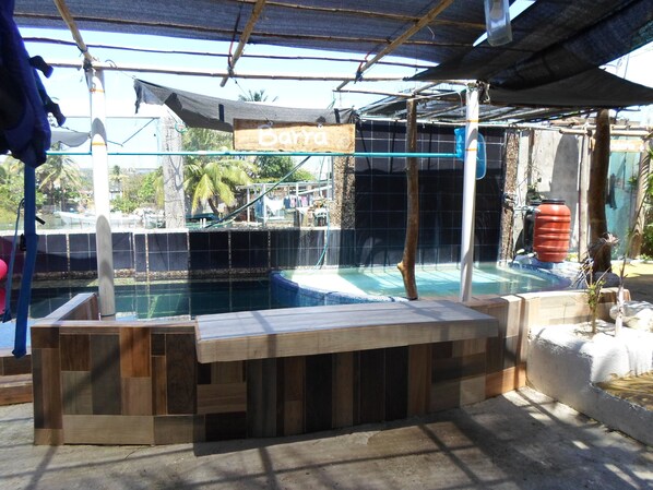 Pool - Casa del Jaibo (Alvarado)