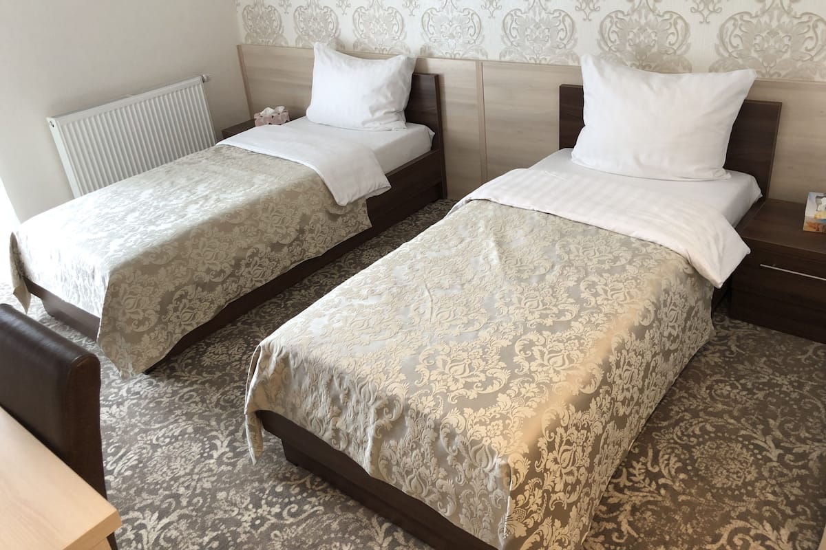 Une chambre d’hôtel avec deux lits, chacun recouvert d’une couvre-lit à motifs et agrémenté d’oreillers blancs, dotée d’une tête de lit en bois, d’un radiateur et d’une moquette à motifs.