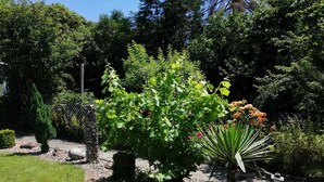 A garden with a variety of plants, including a large tree with green leaves and a smaller tree with orange flowers. There is a stone pillar and a stone wall in the background. - Glori * s apartment (Bad Sooden-Allendorf)