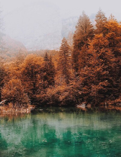 Astra Executive luxury apartment