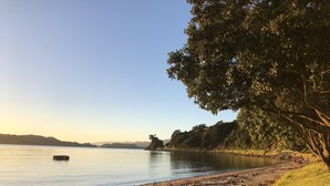 Uma praia com um lago tranquilo, um barco na água e uma árvore na costa.