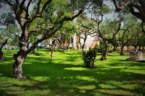 Exterior - Soulis studios&apartments (Zakynthos)