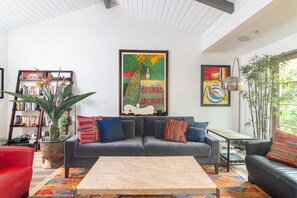 Smart TV, fireplace, books