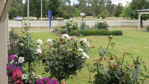 Un jardín con diversas flores y una cerca blanca de piquetes.