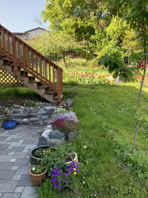 Terrein van de accommodatie