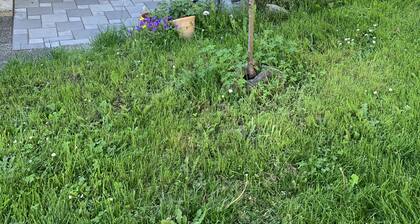 Sweet 1 bedroom ground-level Garden Suite steps away from Cedar Hill trails