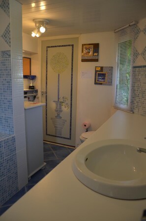 Combined shower/bathtub, free toiletries, hair dryer, towels