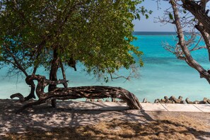 A tree-lined beach with clear turquoise water and a concrete path. - Lago de los Sueños Island (Rosario Islands)
