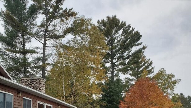A wooden house with a stone fireplace, a wooden deck, and a well-maintained lawn. - Lake Pavek Lake (Elcho)