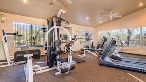A well-equipped gym with various exercise machines, including a treadmill and weightlifting equipment, and large windows providing natural light. - Two Mountain Views in Gold Canyon (Gold Canyon)