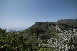 Vista desde la propiedad