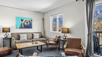 TV, fireplace, DVD player