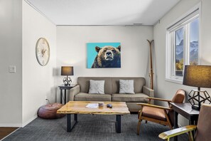 TV, fireplace, DVD player