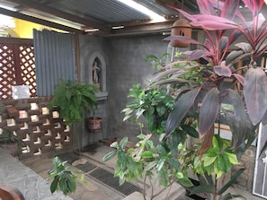 Property grounds - Hostel Julieta Rivas (Rivas)