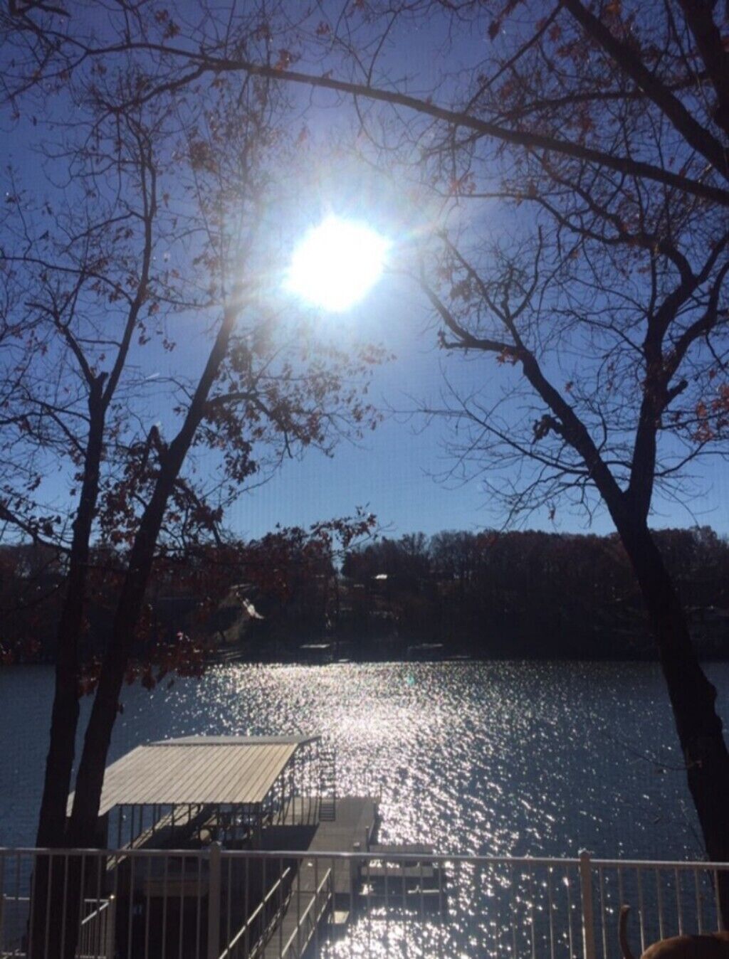 Beautiful Lake Front View! Wonderful Secluded Lake House close to all the fun!