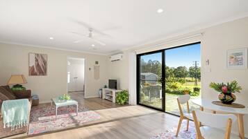 Smart TV, DVD player