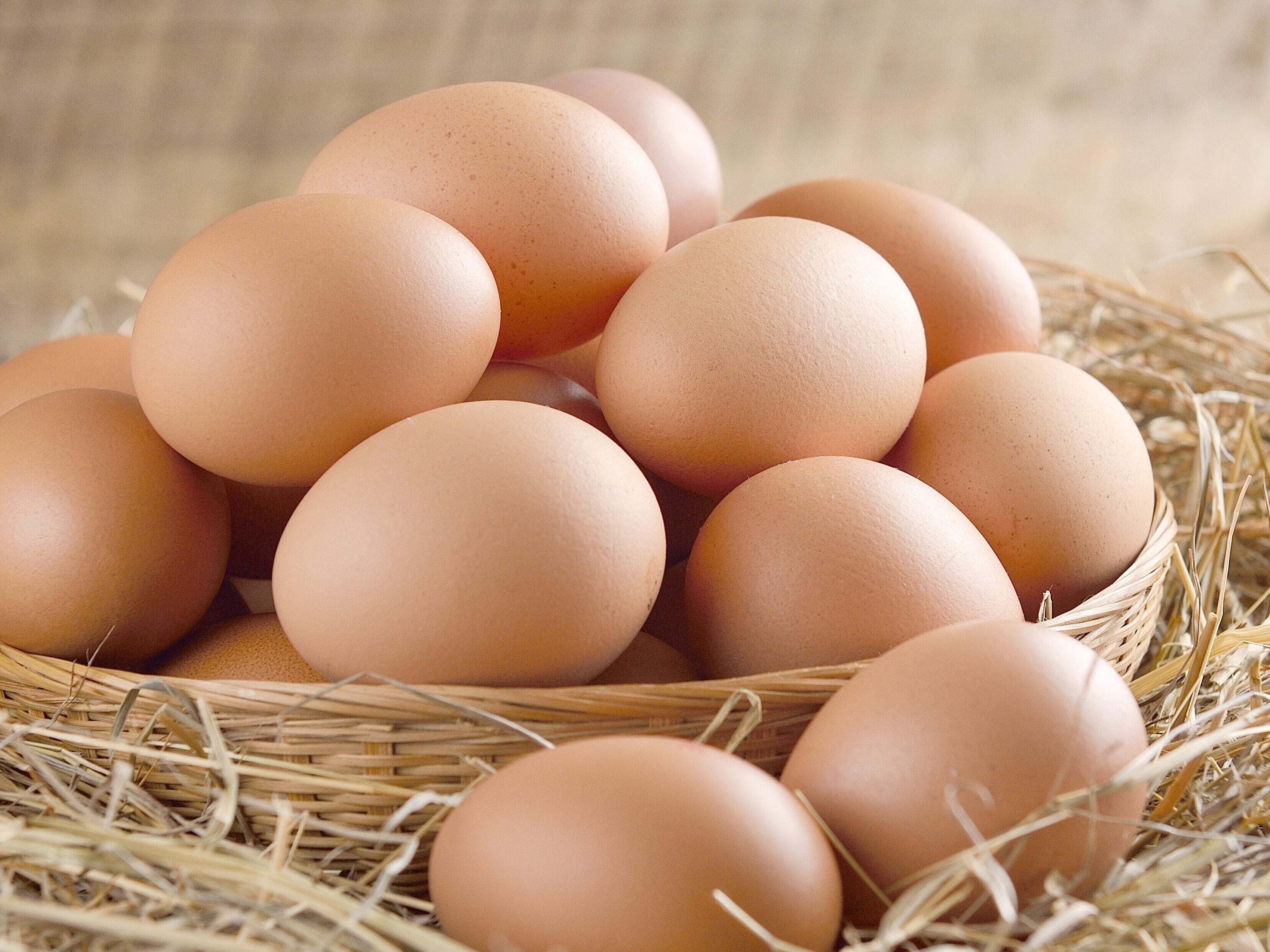 Photo - Daiwa Roynet Hotel Kyoto Terrace Hachijo PREMIER